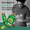 Jeena Sikho Organics Gut Detox Kit Pack Of 2 Ayurvedic Digestive Cleanse Granules Shots Wellness Support Combo