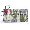 ALCHIMIA SOAP - Vegetable Soap White Musk