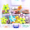 100 Stück essbare Blüten für Kuchen Dekorationen Kuchen Idee Dekoration Hochzeit Party (Farbe)