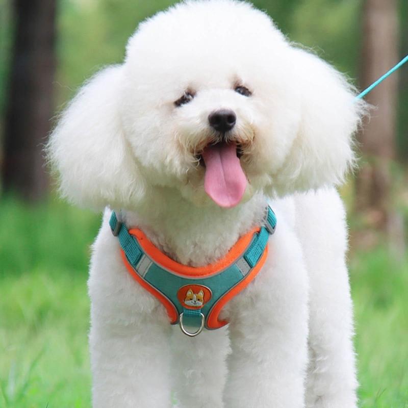 Pet Chest Strap Vest Type Dog Strap Small Dog Rope Outdoor Reflective Breathable Dog Traction Rope Dog Collar Seat Belts