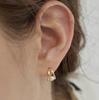 2025 Small Water Drop Earrings ins Versatile Temperament Earrings Earrings