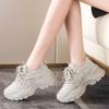 Dad Shoes Girl 2025 New Student Breathable Mesh Shoes Korean Edition Trendy Versatile Thick-soled Women's Shoes