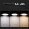 Andeli LED Recessed Downlight
