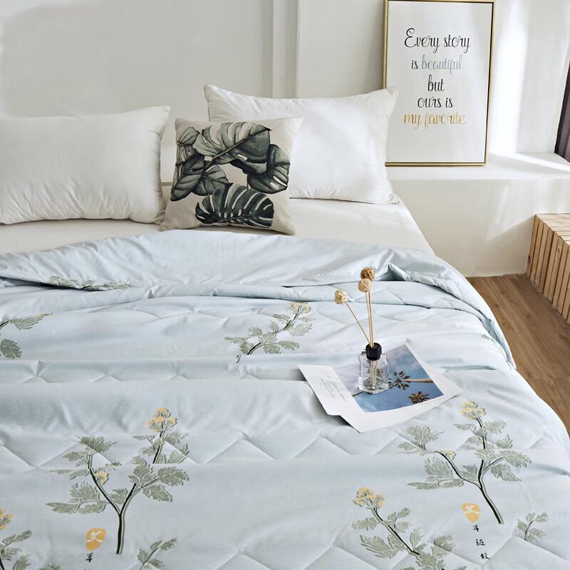 Yalu Wormwood Mosquito Repellent Cooling Quilt
