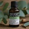Eucalyptus Essential Oil Organic 50ml