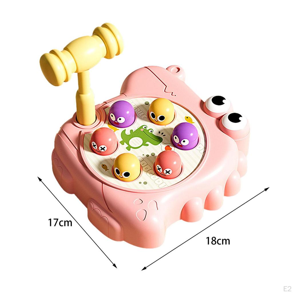 Hamster, Educational Toys, Fine Workmanship, Hit Hamsters