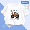 Boys' Pure Cotton Short-sleeved T-shirt New Style Medium and Large Children's Summer Round Neck Printed T-shirt Children's Loose Summer Wear Trend