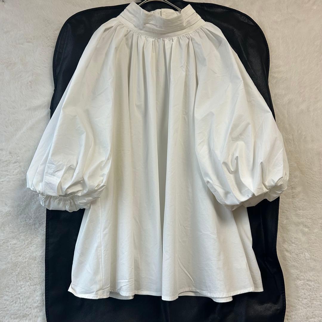 Lily Brown Puff Sleeve Three Quarter Length Blouse F