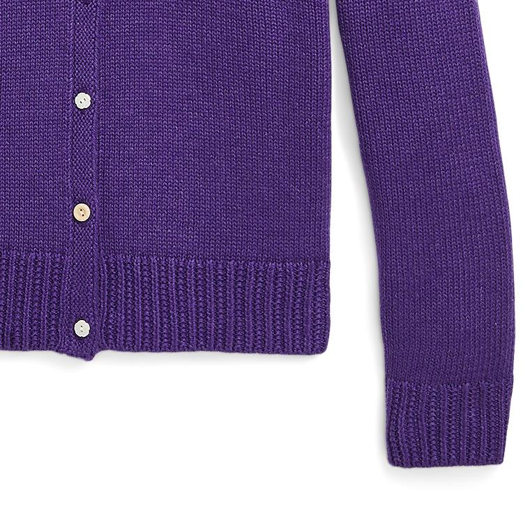 Polo Ralph Lauren Knit Sweater Kids FW23 Crew Neck Striped Trim Single-Breasted Long Sleeve Purple Kids sweater 313916542001