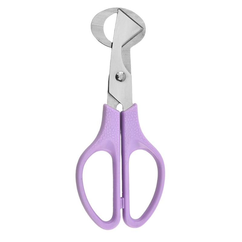 1Pc Stainless Steel Quail Egg Shell Scissors - Rust-Resistant Durable Kitchen Tool,  for Quail Egg Cutting & Cigar Trimming