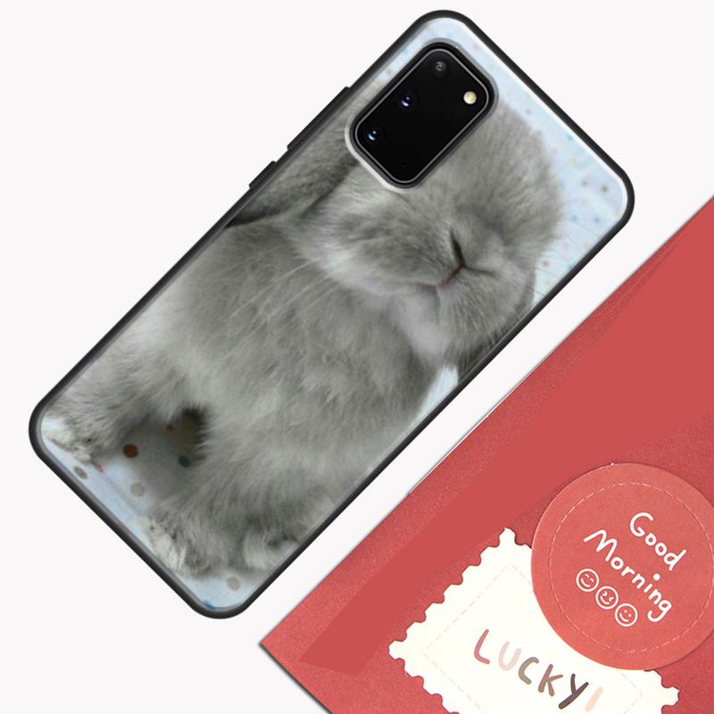 Baby Rabbits Bunny Phone Case For Samsung Galaxy S25 S26 Ultra S20 S21 S22 S23 S24 Plus S9 S10 S25 FE Cover Shell