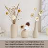 Cream Style Decorative Vases for Living Room, Bedroom, or TV Cabinet with Dried Flowers