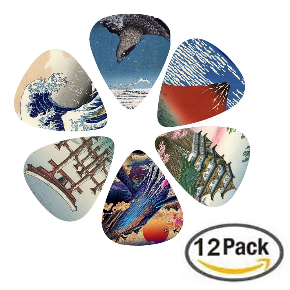 Jasenna Guitar Picks, 12-Piece Set, Stylish Plectrums for Bass and Stringed Instruments, Made of Plastic with Storage Case, Non-Slip, Lightweight,