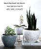 Nordic Style Extra-Large Ceramic Flower Pot for Indoor/Outdoor Use - Ideal for Money Tree, Pothos, and Creative Bonsai.