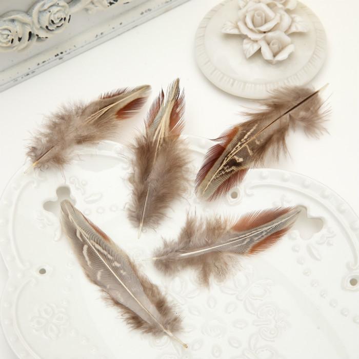 50Pcsdiy Jewelry Accessories Feather Diy Feather Headdress Corsage Hat Shoes Handicrafts Decorative Materials