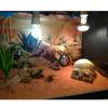 Realistic Artificial Skull Decor for Reptile Terrariums Ideal for Bearded Dragons Snakes Durable Enhances Habitat Aesthetics