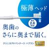 Clinica Advantage Medium cannot be Floss Bulk head Toothbrush, 4-row, Ultra-compact, Bristles, 6-pack (Color chosen) + included, purchase, Ultra-thin