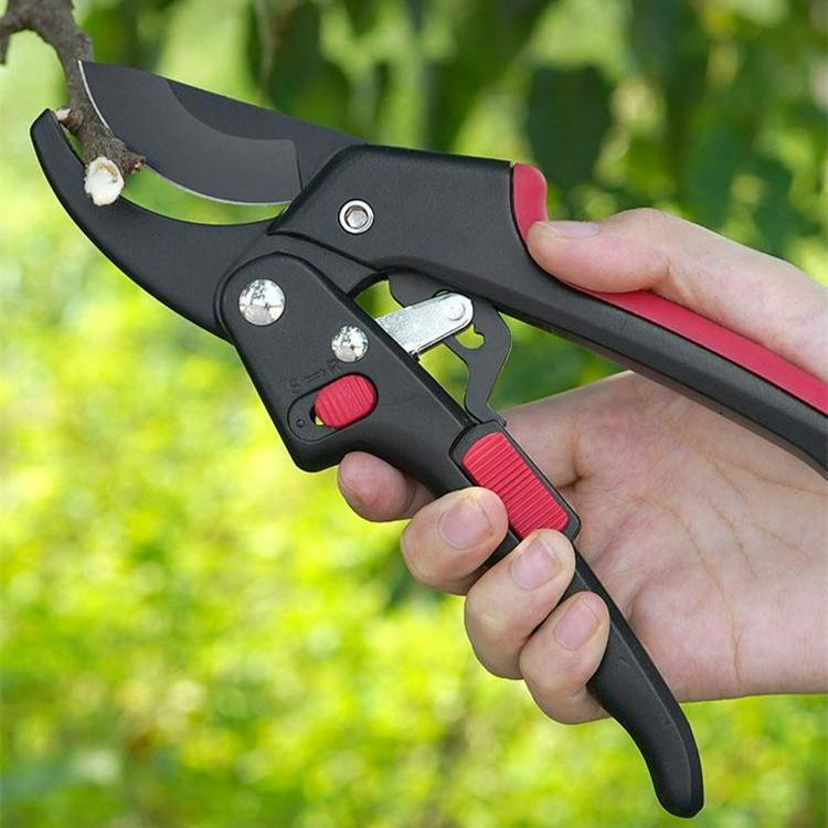 Genėjimo žirklės Sodo įrankiai SK5 plieno žirklės Sodininkystės augalų žirklės Šakų genėtuvas Žirklės Profesionalios sodo žirklės