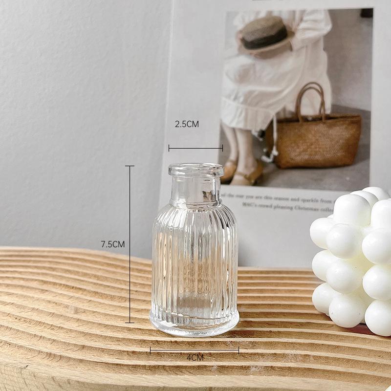 Xin Sheng Simple Transparent Glass Vase for DIY Dried Flower Bouquet Arrangement