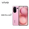 Vivo S30 Pro Mini AI Smartphone (CN version)