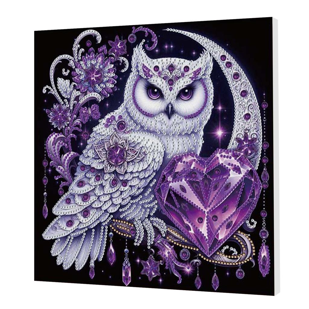 DIY Special Shape Drill Art Craft Pearl Diamond Painting with Frame 25x25cm Pearl Art Painting Set for Adults Home Wall Decor
