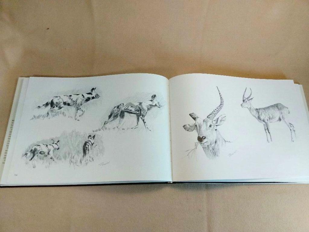[USED] AFRICAN IMPRESSIONS: A detailed collection of sketches of African animals, landscapes, and customs