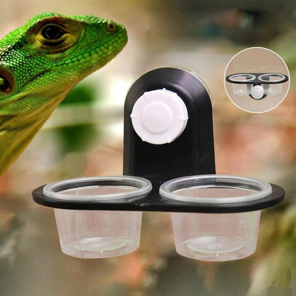 Reptile Food and Water Dish Gecko Feeding Cups Dispenser with 4 Cups Ledge Accessories Tray for Tarantula Frog Lizard Chameleons