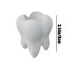 Funny Tooth Shape Pen Holder Pencil Pot Storage Container Desk Pen Stand Succulents Pot Organizer Home Decoration Planter