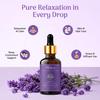 Mehva Lavender Essential Oil | 30Ml | 100% Pure & Natural | For Stress Relief & Aromatherapy | Soft & Shiny Hair | Nourishes Scalp | Home Fragrance