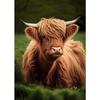Scottish Highland Cow Wild Animal Nordic Nature Landscape Poster Canvas Painting Wall Art Pictures for Room Home Farmhouse Decor