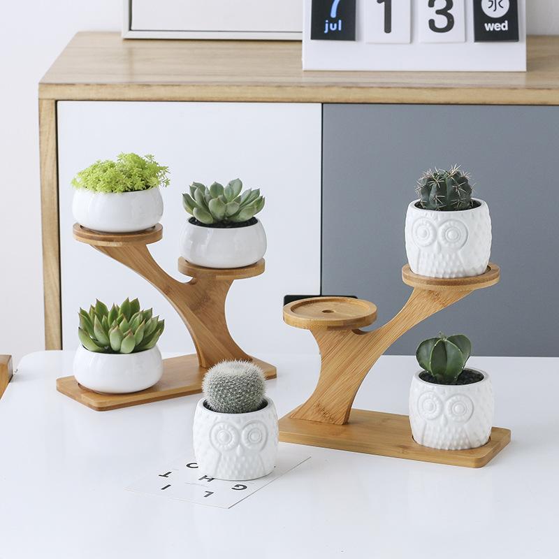 Plant Shelves Flower Display Stand Creative Succulent Plant Owl Pumpkin Bamboo Frame Ceramic Flowerpot Plant Tray