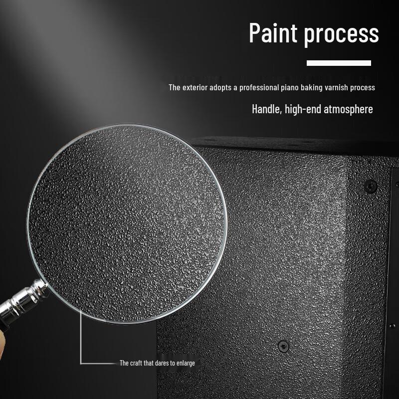 HuiDu MS-10 10-inch Professional Full-Range Speaker