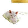 Cat Climbing Frame, Cat Scratching Board Cat Nest, Integrated Pet Ice Pad