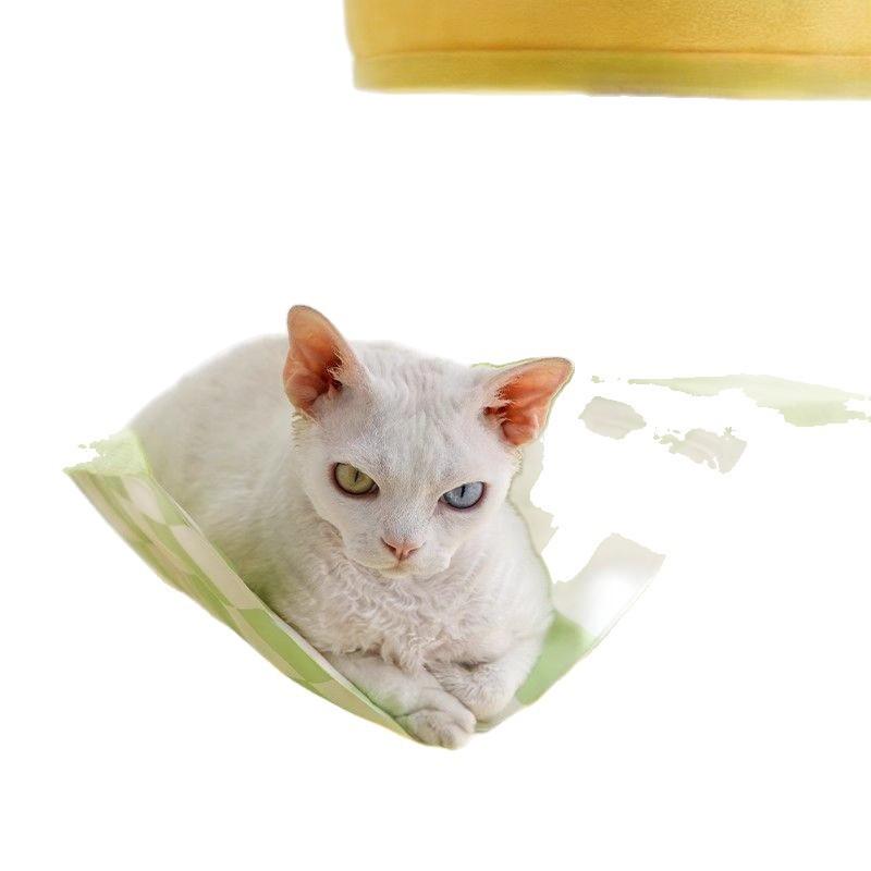 Cat Climbing Frame, Cat Scratching Board Cat Nest, Integrated Pet Ice Pad