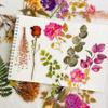 Plant Flower Floral Decorative Journaling Supplies Big Size Transparent Waterproof Cottagecore Stickers DIY Sticker 5 Styles