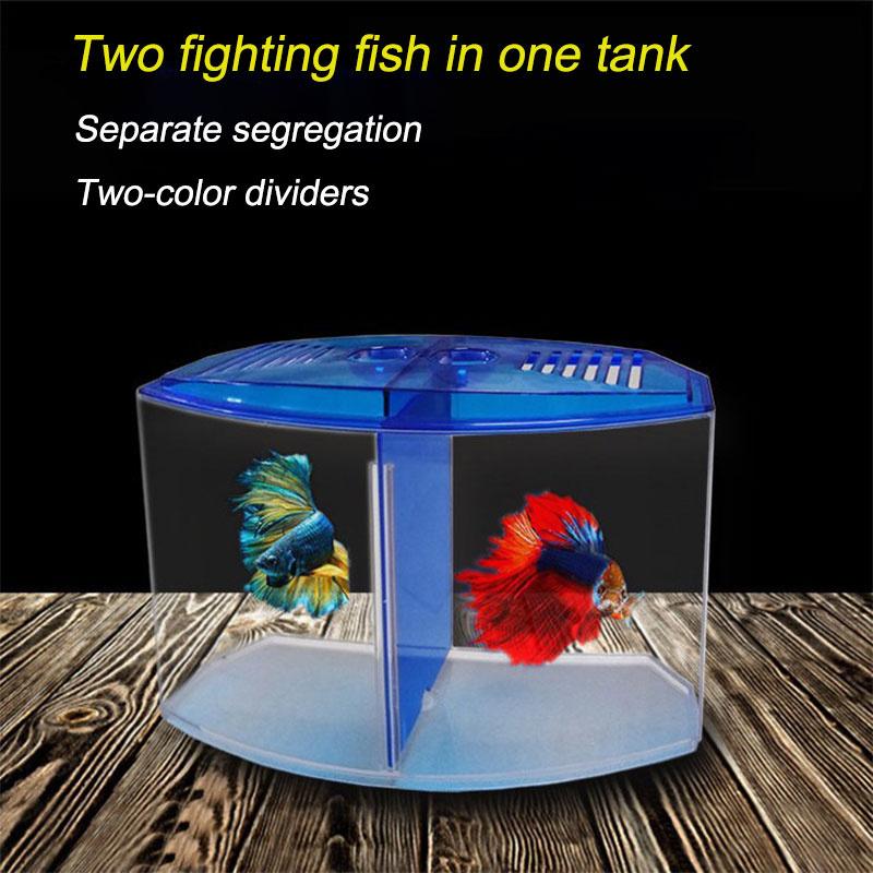 Cutie mare de pești de luptă cu compartiment dublu Eco Rumble Fish Aquarium Mini Aquarium Plastic Isolation Box Box reproduction