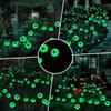 1Pack Wind-Powered Eye Bulbs with 6 Solar-Powered LED Bulbs  Halloween-Themed Outdoor Garden Decor for Yard Lawn Halloween