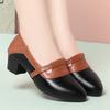 Soft Leather Single Shoes French Retro Pointed-Toe Leather Shoes Shallow Mouth Loafers For Women'S Autumn New Thick Heel Shoes