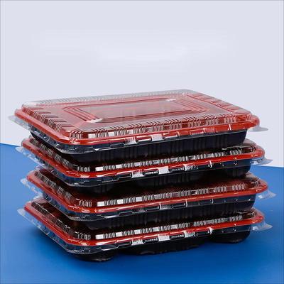 Rectangular 5-Compartment Disposable Lunch Boxes, 100-Pack