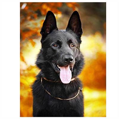 Volle 5D Diy Diamant Malerei Schwarzer Hund Diamant Stickerei Full Lay Anime Kreuzstich Kits Home Decor Handgemachtes Geschenk