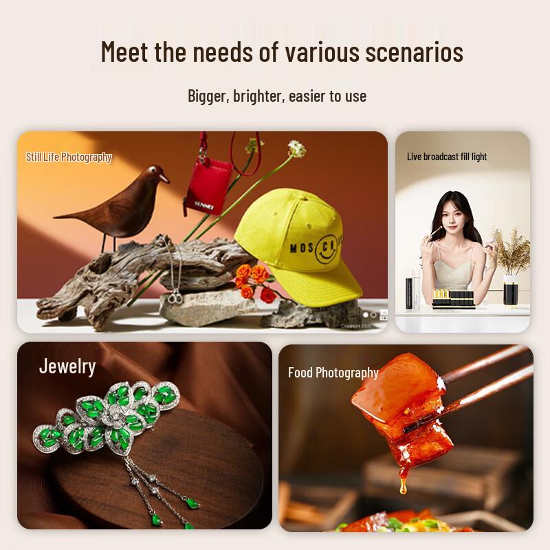 Beiyang Professional LED Fill Light Kit for Live Stream & Photography