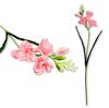 Tak - Schuimfreesia, lichtroze, 59 cm