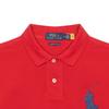 Polo Ralph Lauren Logo Bestickt Lässiges Kurzarm-Poloshirt Herren Oberteile 710697457-038