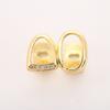 Manufacturer Bulk Popular Hip-hop Zircon Micro-paved Teeth Grills Double Gold-plated for Fashion Brands