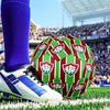 Green Shield Emblem Design Printed Size 5 Soccer Ball - Durable, Machine-stitched, Soft and Comfortable, Suitable for Training and Matches Gift