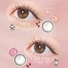 FLANMY 1day color contact lenses, 1 box of 10 lenses, 14.2mm, 14.5mm, 8.5mm, 8.6mm, Nozomi Sasaki, PWR: -8.50 / COLOR: Caramel Pie