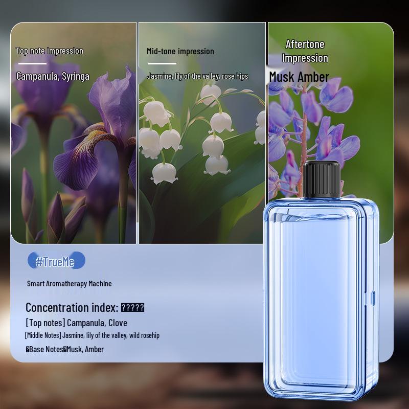 Automatic Aromatherapy Air Freshener: Long-lasting Fragrance Humidifier & Toilet Deodorizer for Indoor Use