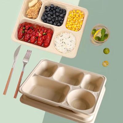 Aoran Eco-Friendly Disposable Meal Box