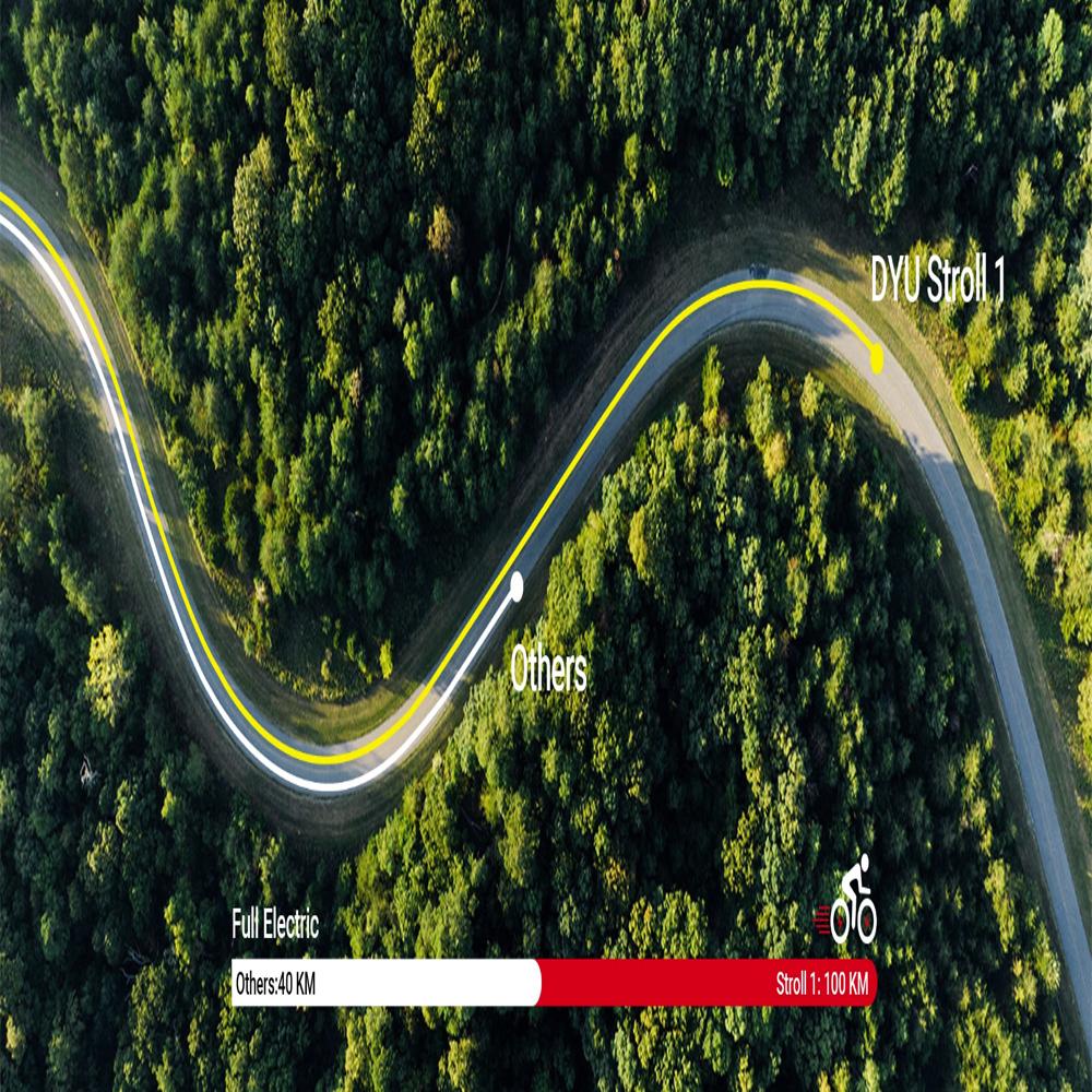 Electric Bike DYU 250W Motor City Ebike 36V 9AH Max Range 100Km Load 120Kg Black Str0ll