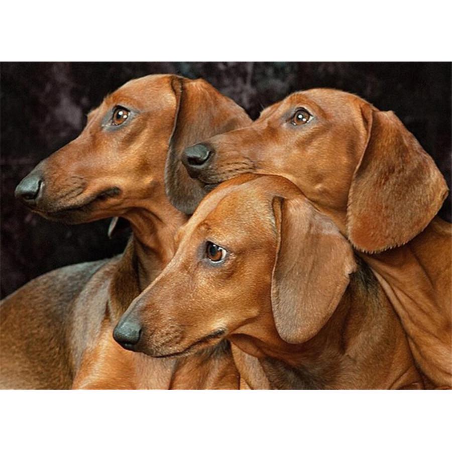 Kompletní 5D kutilské diamantové malování Všechny druhy psů Diamantové vyšívání Sady křížkového stehu Domácí dekorace Ručně vyrobený dárek